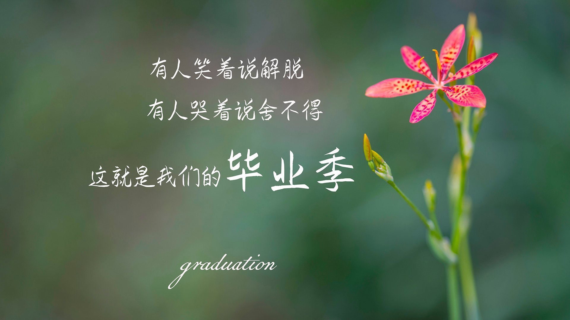 当维京战吼遇上高卢雄鸡，莫德里奇冰火间谱写的中场绝唱